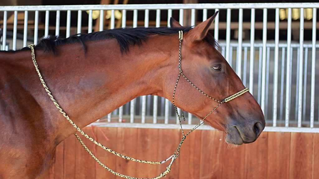 Collier Tête de Cheval | Atelier Impérial